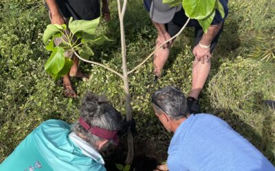 Areté Collective Co-Founders Plant Trees on the North Shore