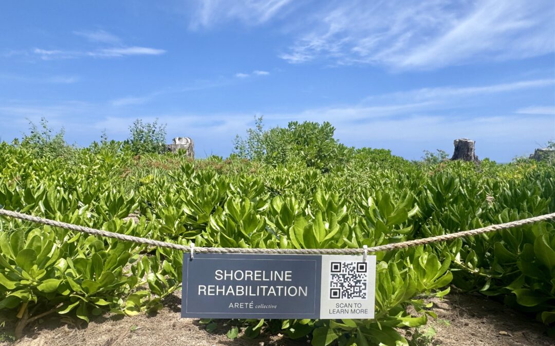 Restoring the Shoreline with Native Flora