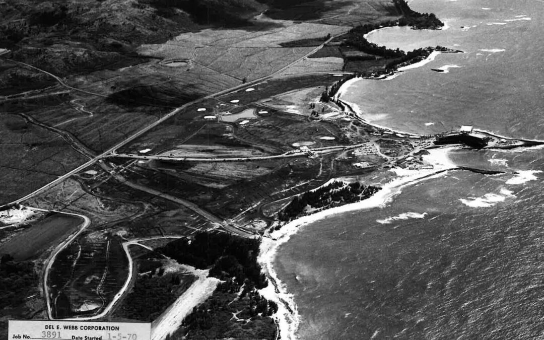 Vision for Turtle Bay Guided by Community