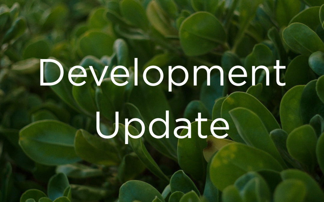 Development Update May 2025