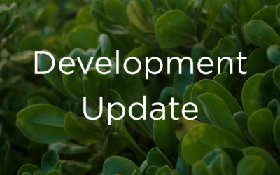 Development Update June 2025