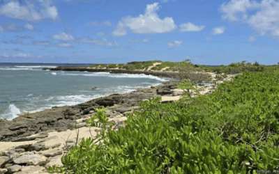 Areté Collective begins construction on Turtle Bay development following delays