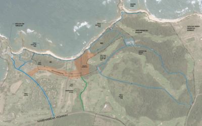 Expanding Access to Turtle Bay’s Trails and Shoreline